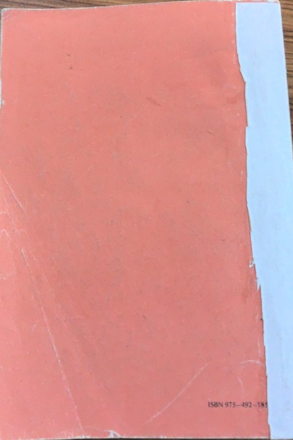 Tarih Ortaçağ Türk-İslam Devletleri