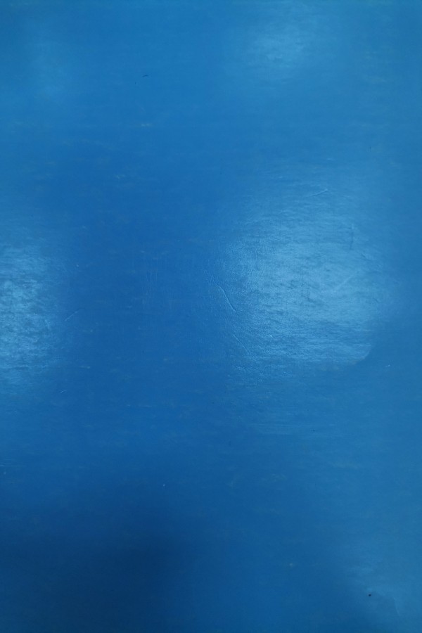 Türklük araştırmaları derneği