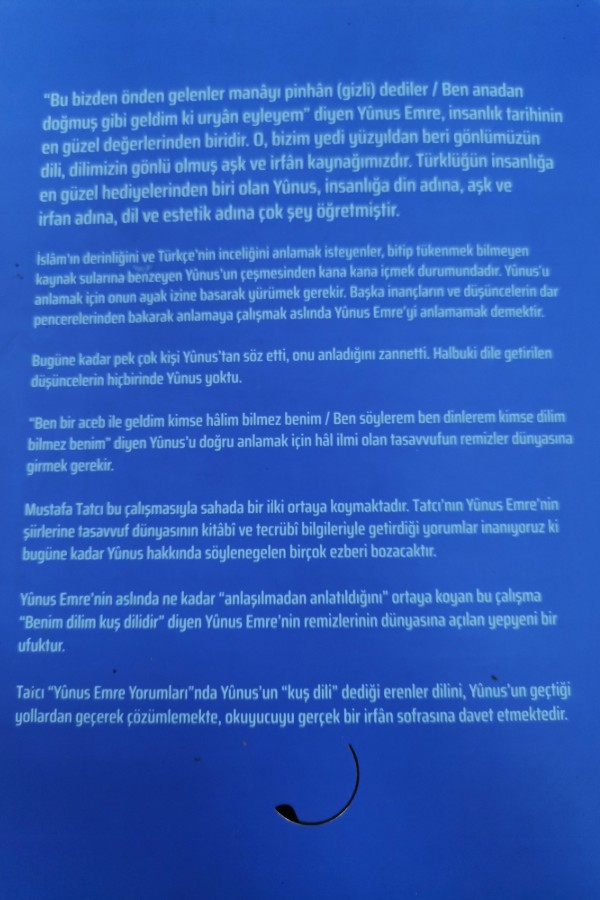 Yunus emre yorumları