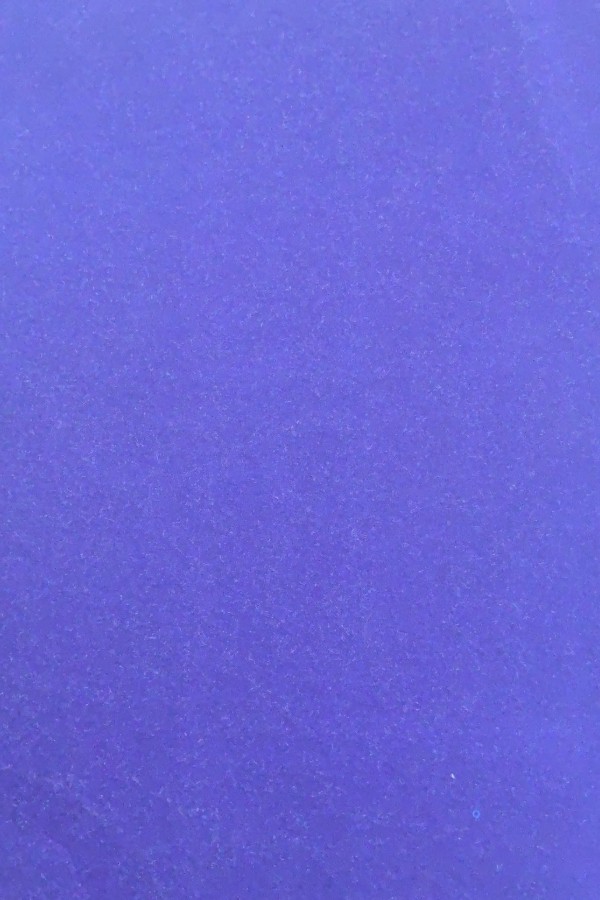 Tarihte ve bugün şamanizim