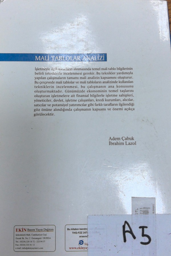 Mali tablolar analizi