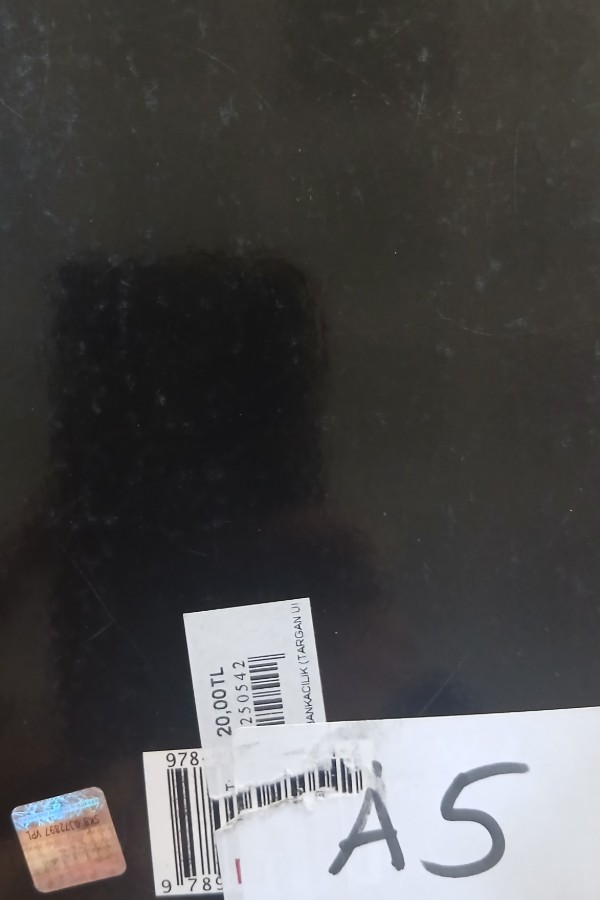 Yeni yüzyılda bankacılık