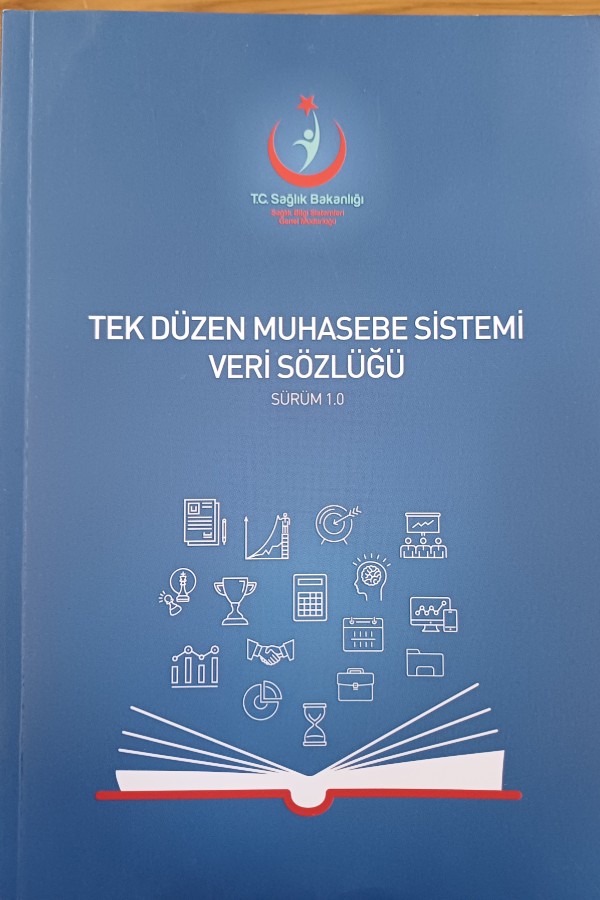 Tek Düzen Muhasebe Sistemi Veri Sözlüğü