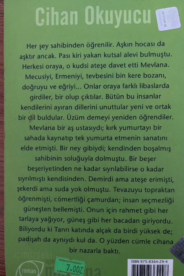 İçimizdeki Mevlana