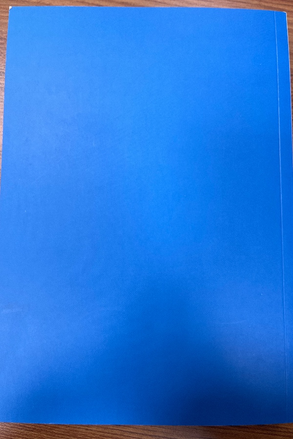 Etkili din görevlileri