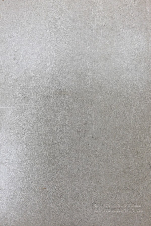 Türkiye Diyanet Vakfı İslam Ansiklopedisi 5