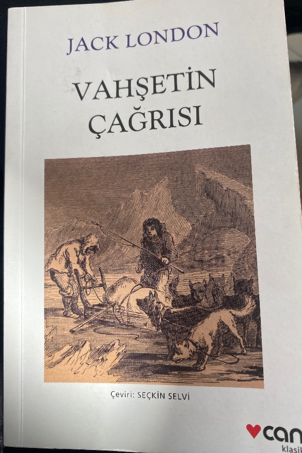 Vahşetin çağrısı