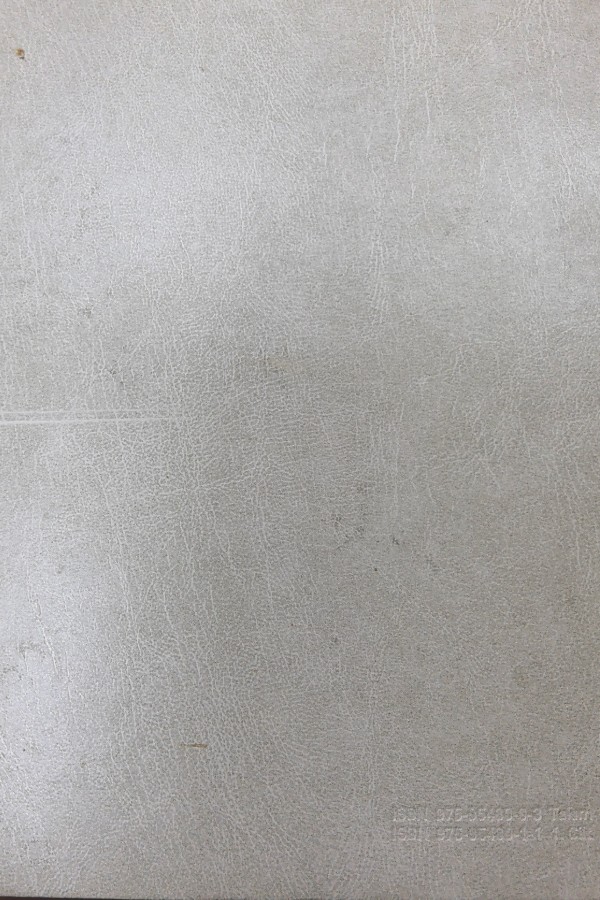 Türkiye Diyanet Vakfı İslam Ansiklopedisi 12