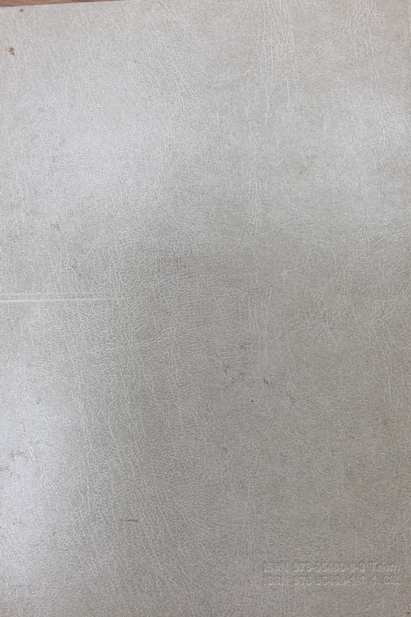 Türkiye Diyanet Vakfı İslam Ansiklopedisi 13