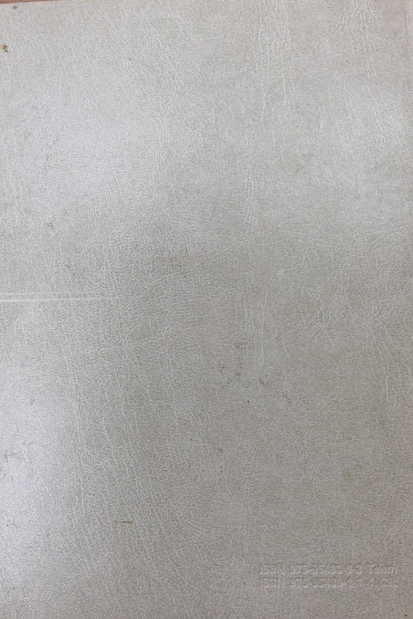 Türkiye Diyanet Vakfı İslam Ansiklopedisi 15