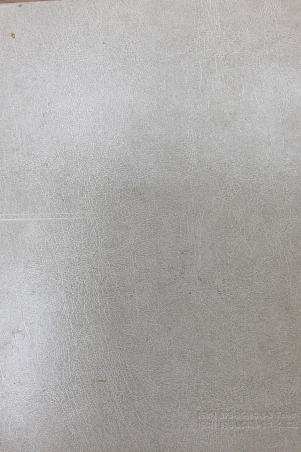 Türkiye Diyanet Vakfı İslam Ansiklopedisi 19