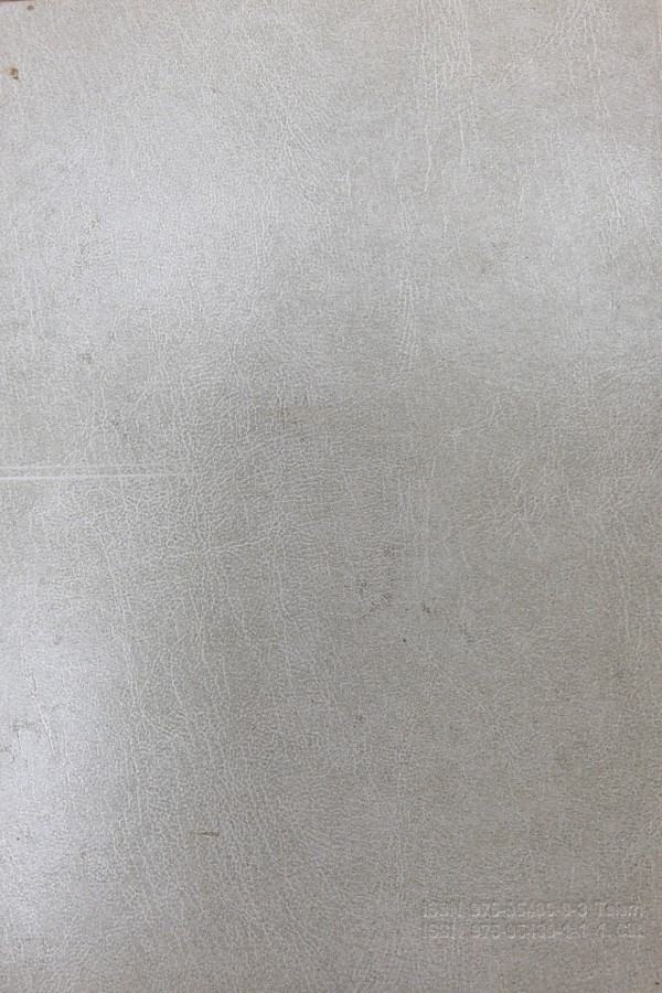 Türkiye Diyanet Vakfı İslam Ansiklopedisi 22