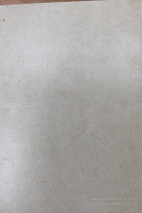 Türkiye Diyanet Vakfı İslam Ansiklopedisi 29