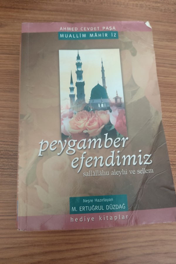 Muallim mahir iz Peygamber efendimiz sallallahu aleyhi ve sellem