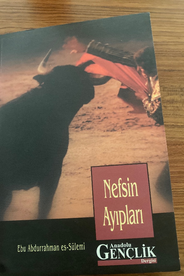 Nefsin  Ayıpları