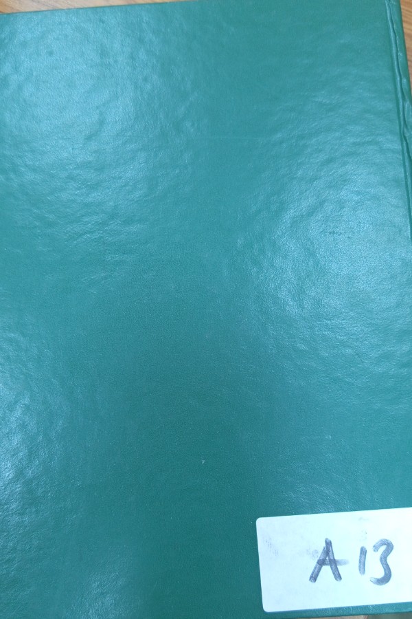 2 Arapça tercüman hadisi şerif külliyatı