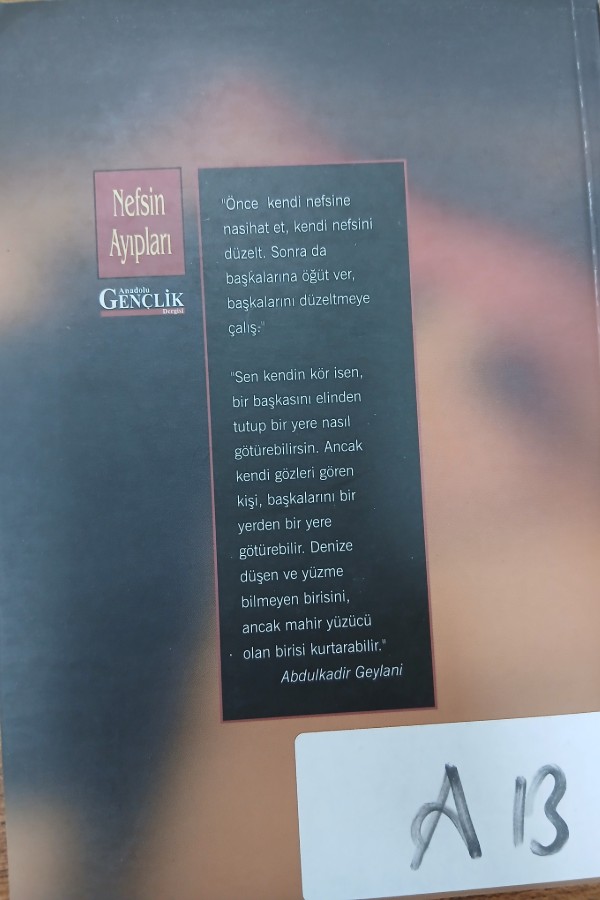 Nefsin ayıpları