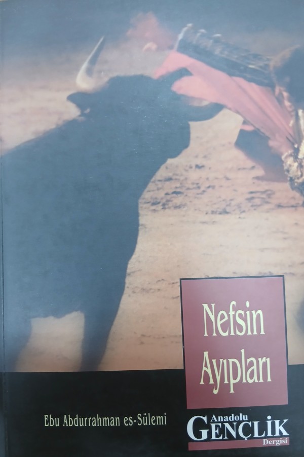 Nefsin ayıpları