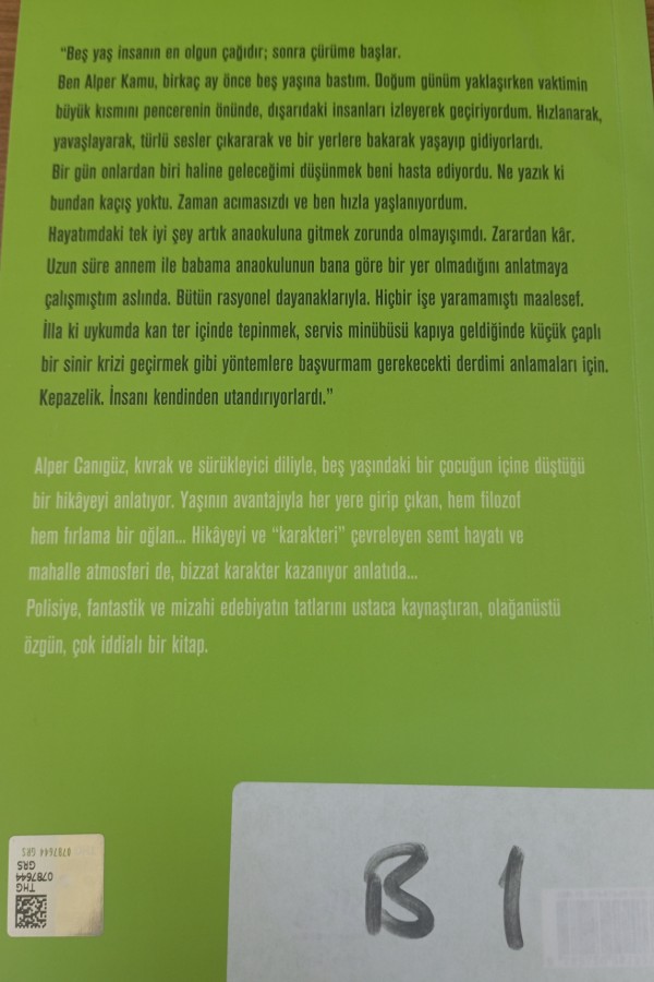 Oğullar Ve Rencide Ruhlar