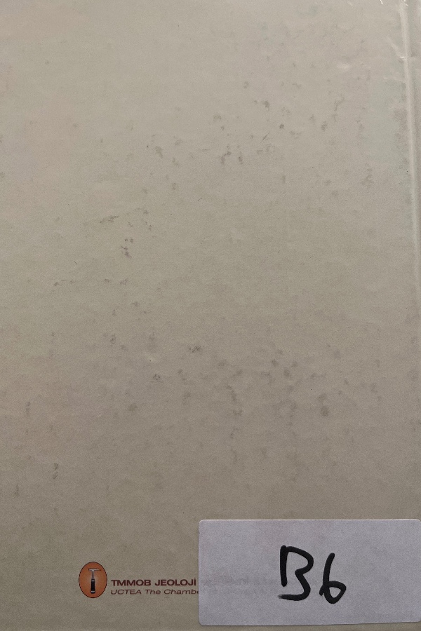 Türkiye Jeoloji Kurultayı