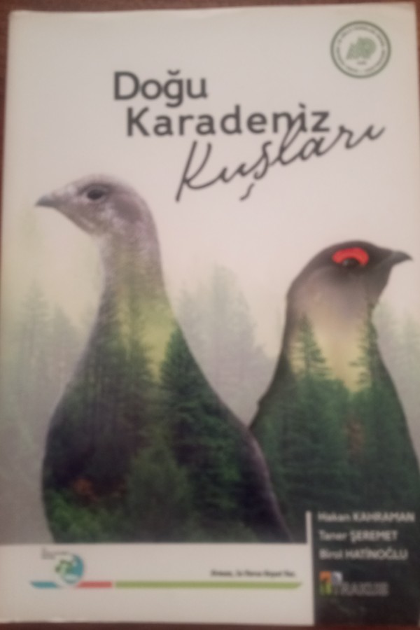Doğu Karadeniz kuşları