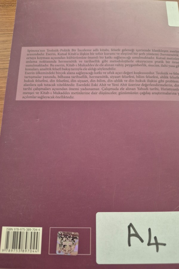 Teolojik politik inceleme