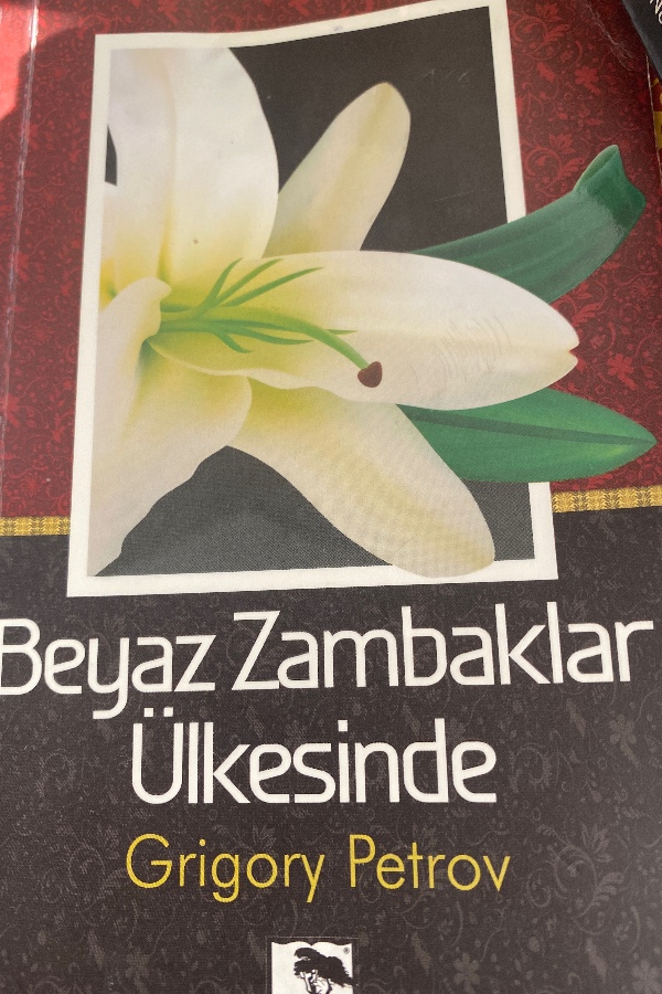 Beyaz zambaklar ülkesinde