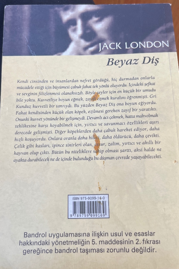 Beyaz Diş