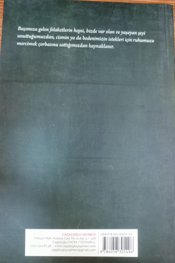 tolstoyun risaleleri 2