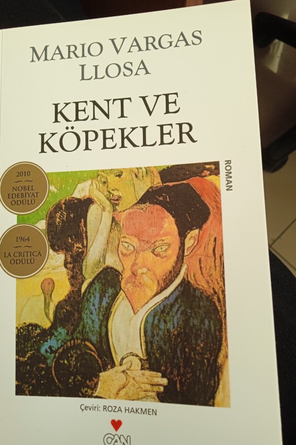 Kent ve köpekler