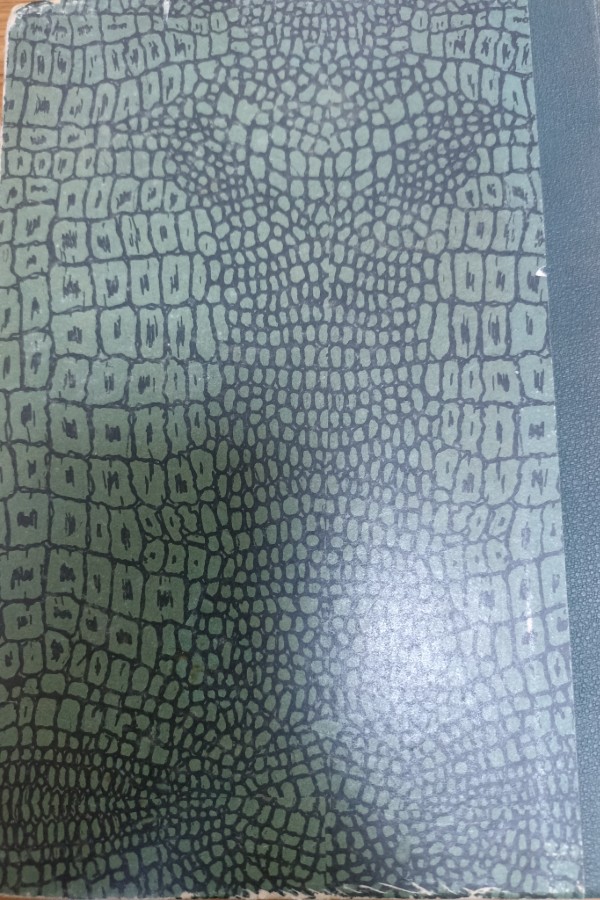 Risale-i Nur külliyatından mektubat