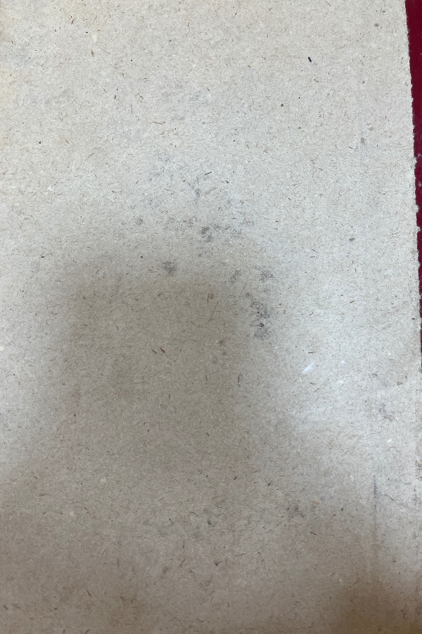 Türk kültürü 393