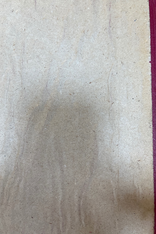 Türk kültürü 369