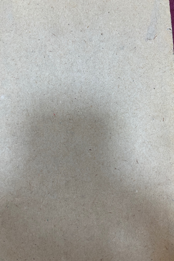 Türk kültürü 363