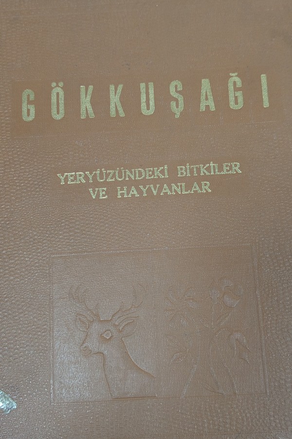 Gökkuşağı yeryüzündeki bitkiler ve hayvanlar