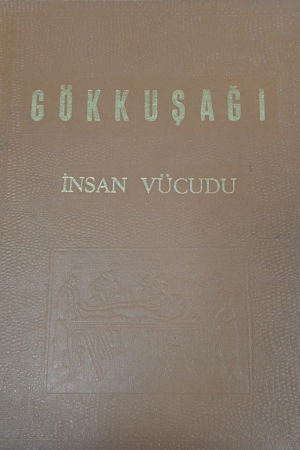 Gökkuşağı insan vücudu