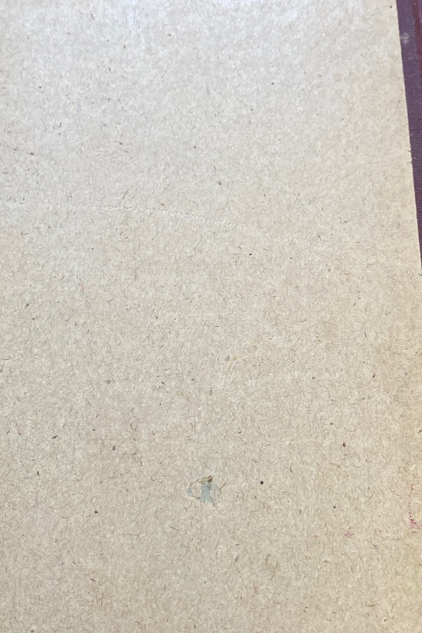 Türk kültürü 255