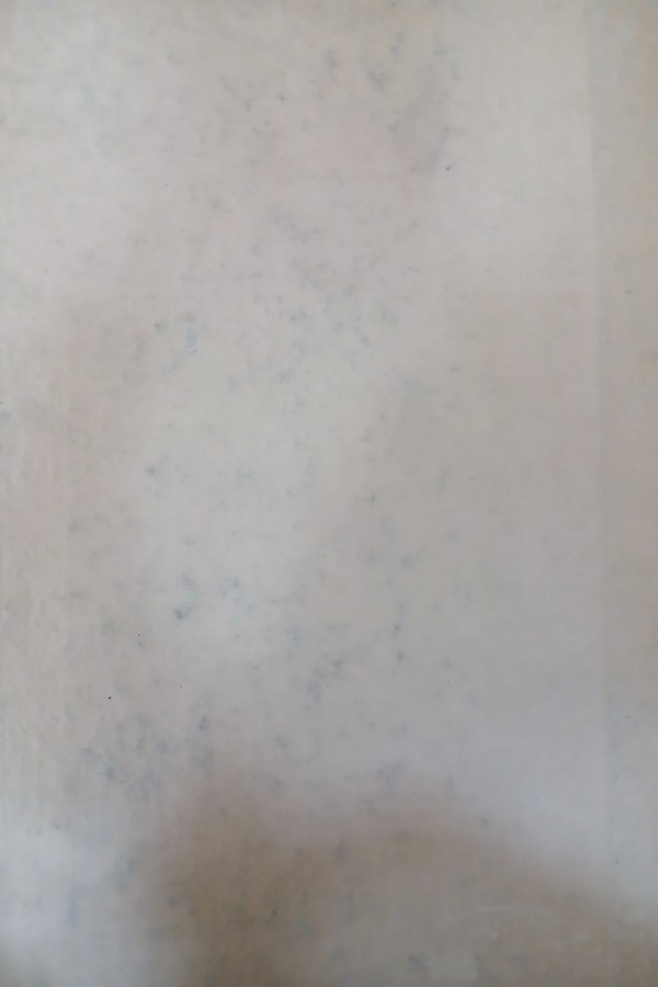 Ahmet rasim ve mûsiki