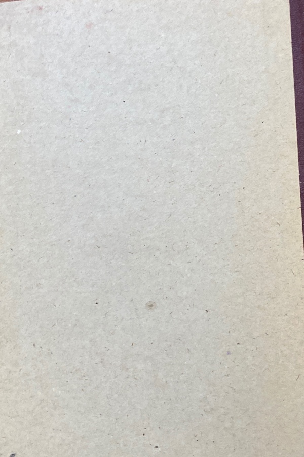 Türk kültürü 357