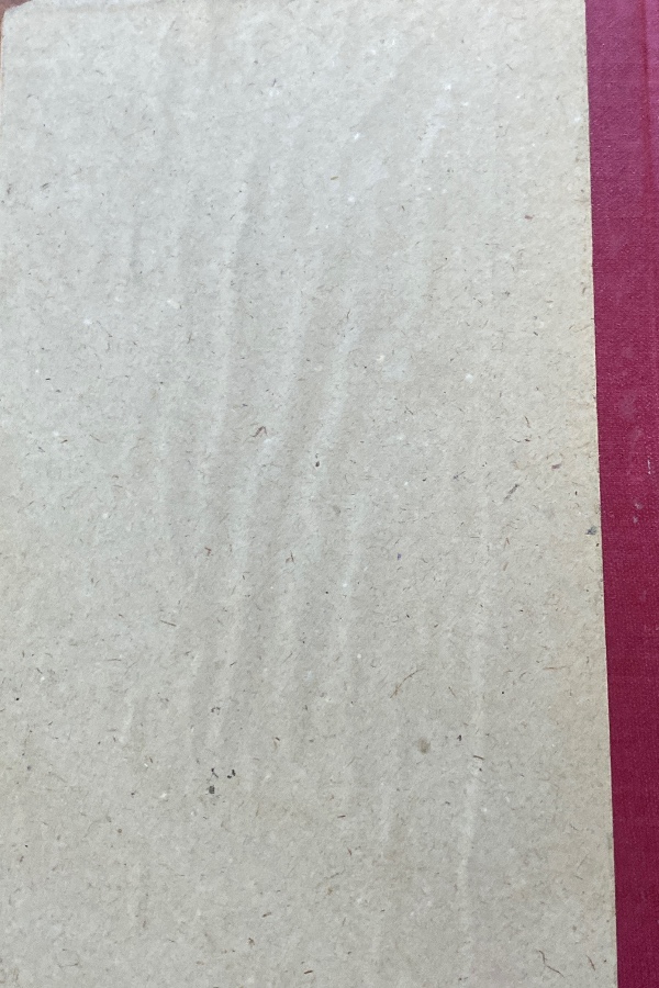 Türk kültürü 381