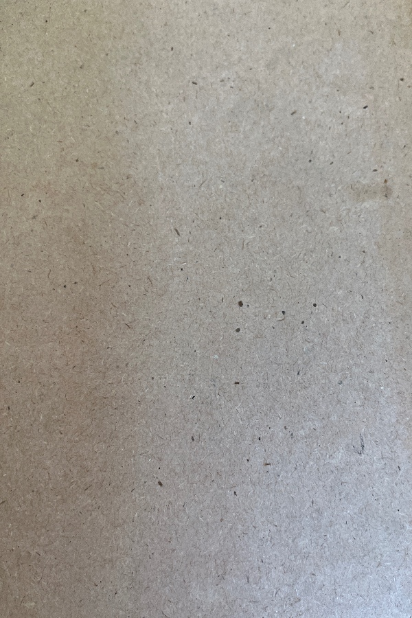 Türk kültürü 249