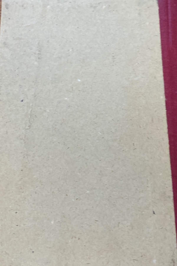 Türk kültürü 387