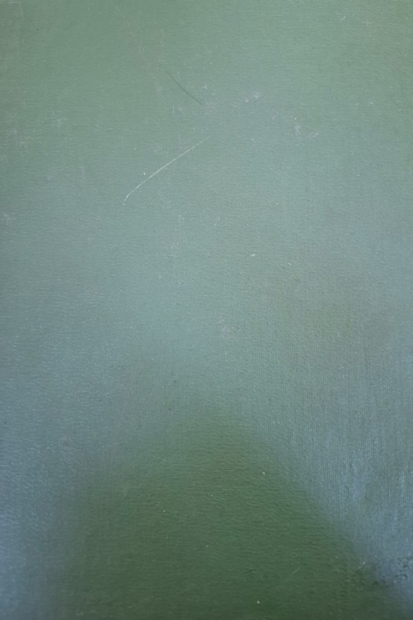 Ansiklopedi sözlü2