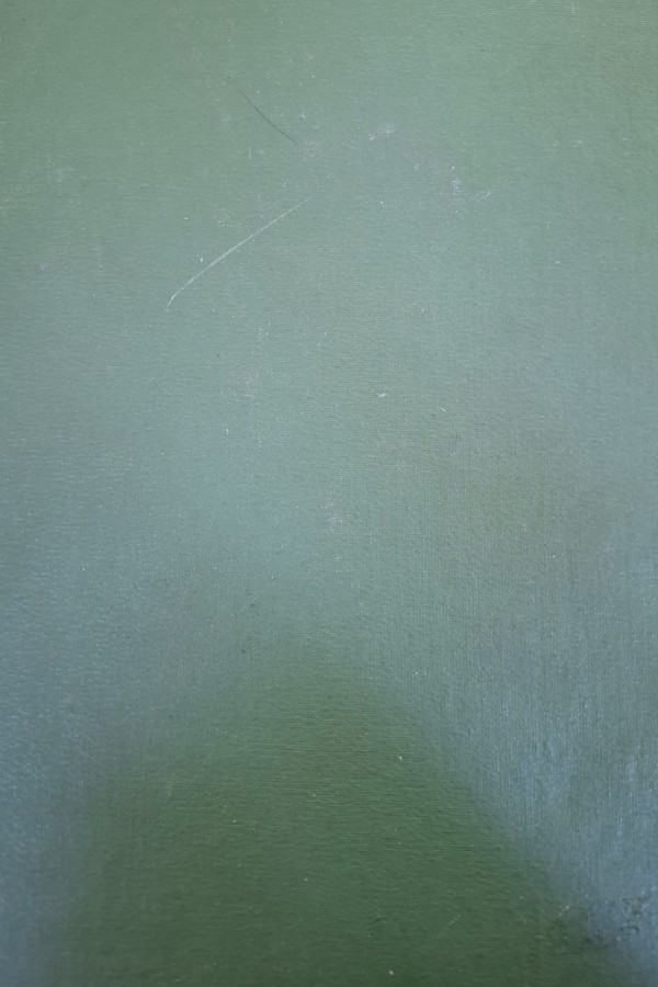 Pakistan doğuşu ve bu günü