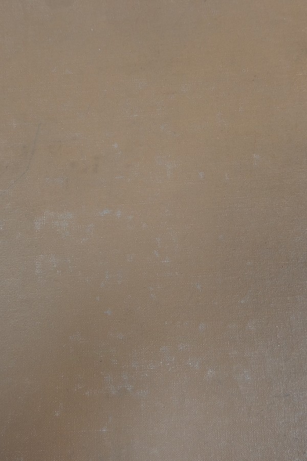 Renkli resimli bilgi 9