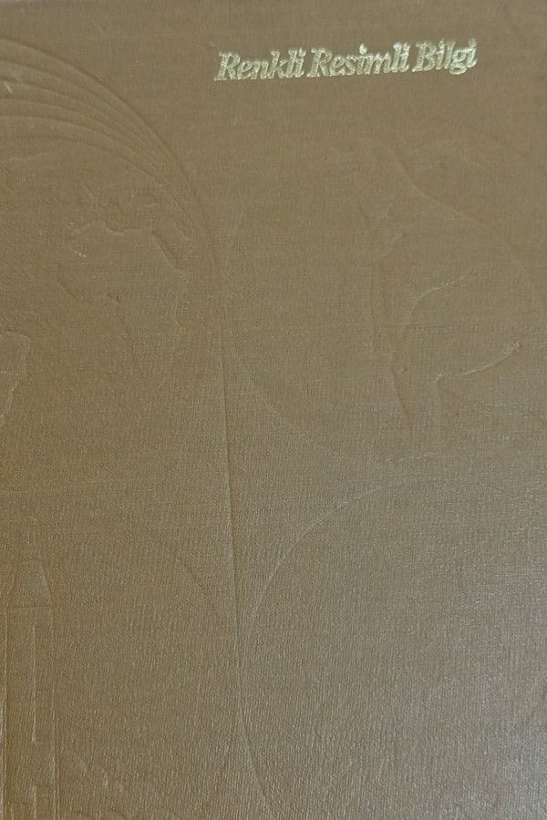 Renkli resimli bilgi 9