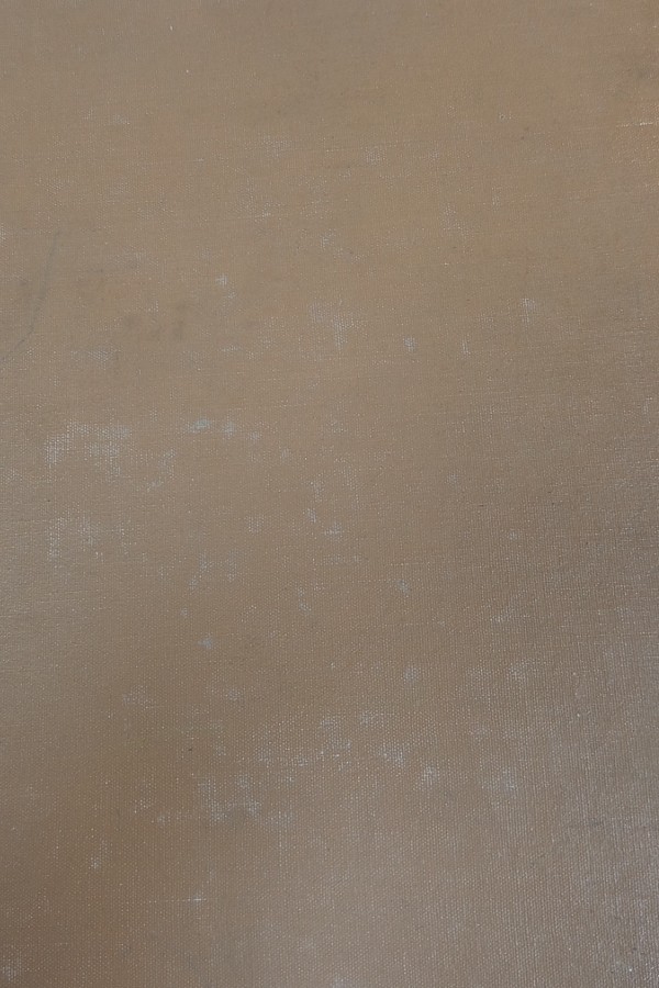 Renkli resimli bilgi 9