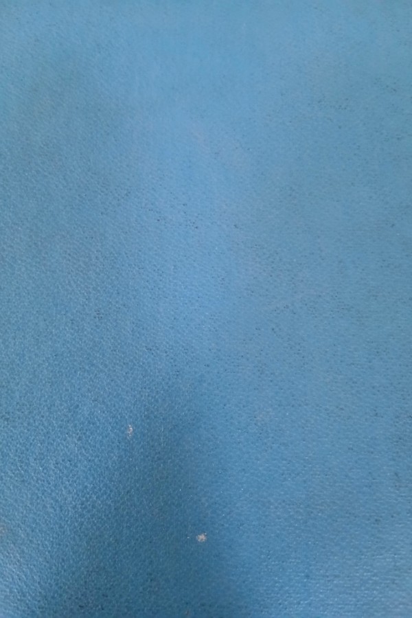 Ziya gökalp'ın ilk yazı hayatı