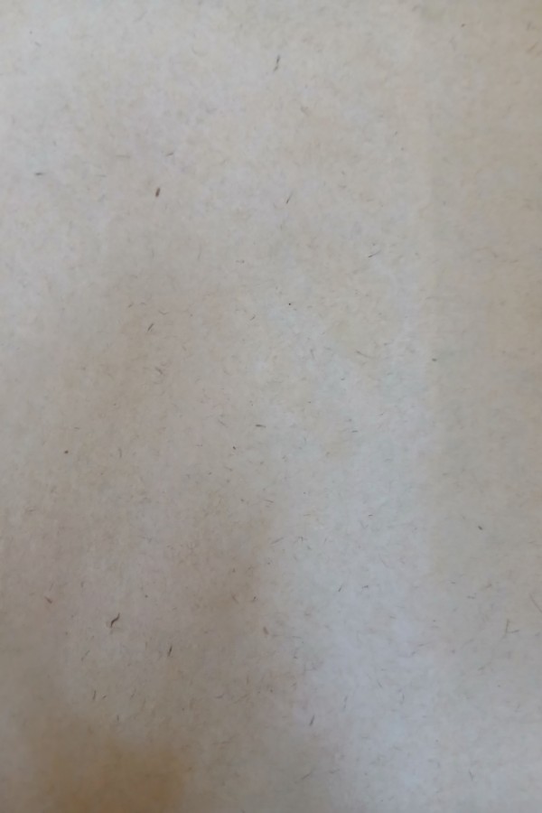 Atatürk'ün büyük söylevi'nin 50. Yılı semineri