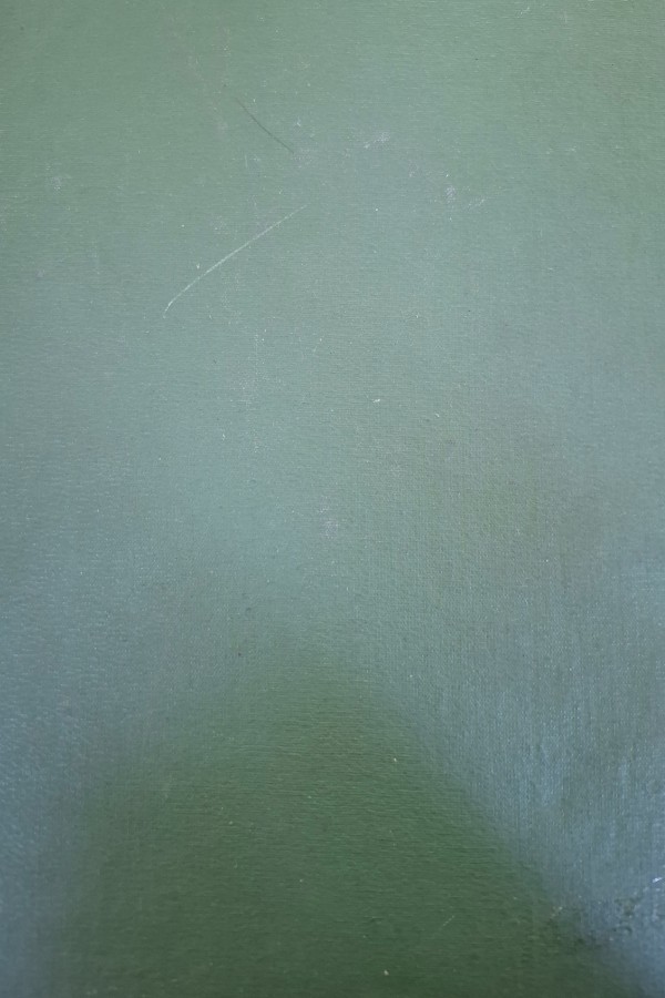 Pakistan doğuşu ve pakistanın bu gün ki hali